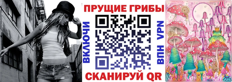 Псилоцибиновые грибы Psilocybe  Купить  Электроугли 